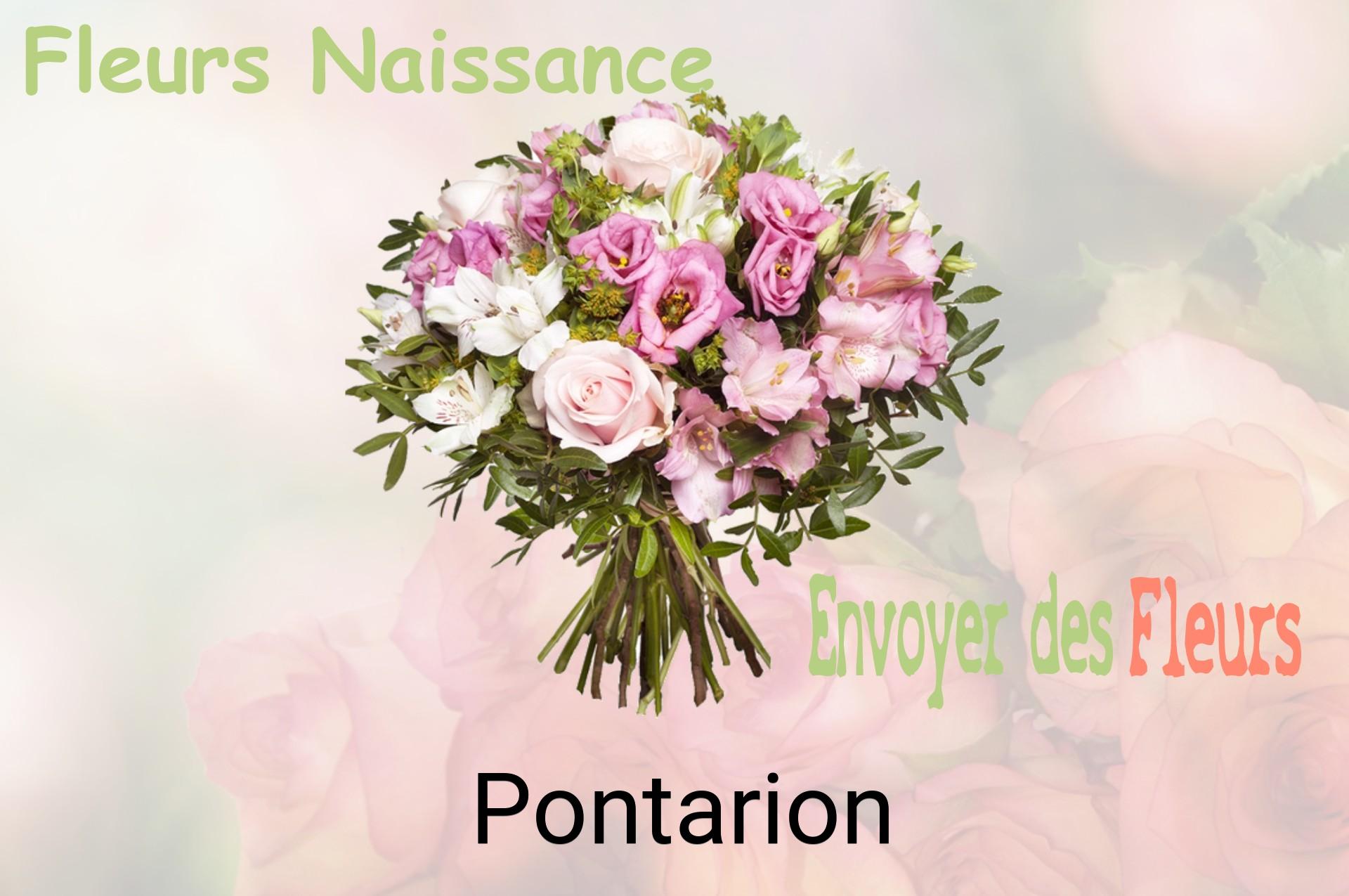 Bouquet de fleurs de naissance livré à Pontarion